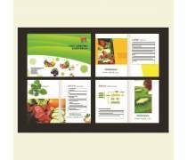 圖文平面設(shè)計(jì)熱賣促銷 專業(yè)制作，助力品牌騰飛